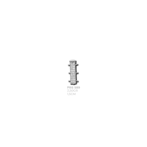 prs 589
